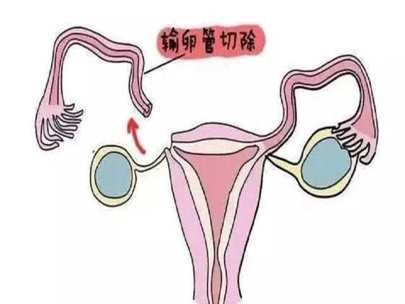北京大学深圳医院生殖中心可以做供卵试管婴儿吗？