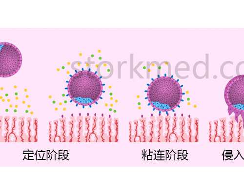 湖北供卵多少钱一个,湖北省妇幼能不能做供卵试管？
