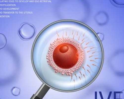 代孕网咨询电话多少,代孕妇能不能吃海马