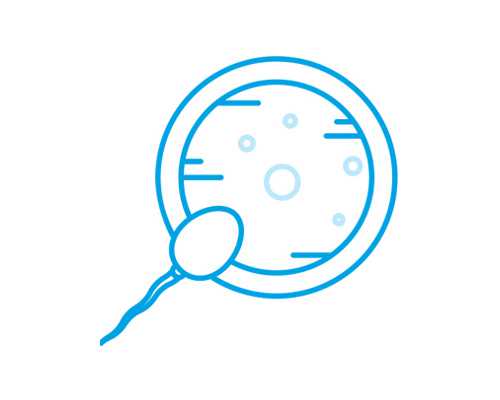 深圳代生子-深圳没有卵巢可以做助孕吗【父母的期盼，天使的摇篮。】