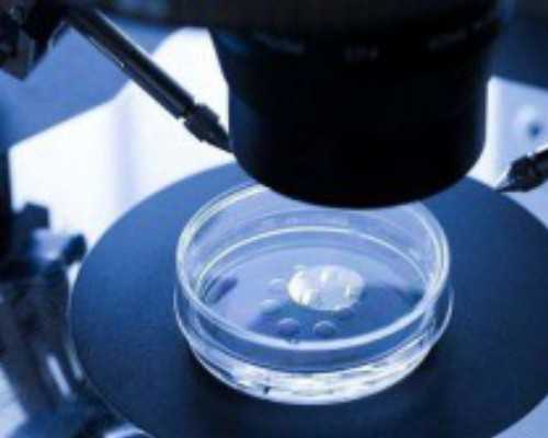 同源染色体异常供卵可以吗,桂林博爱医院生殖科有供卵吗