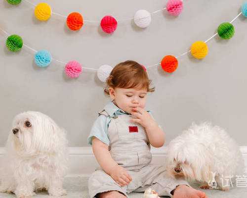 小米发布了四曲瀑布屏风的概念机，所有的边框都消失了