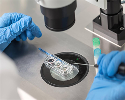 深圳有供卵的私立医院吗？深圳哪家供卵试管机构不排队