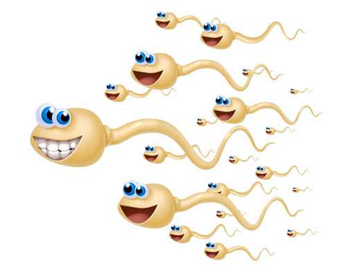 深圳代怀男宝宝_深圳做助孕的母亲_深圳哪个医院能代生