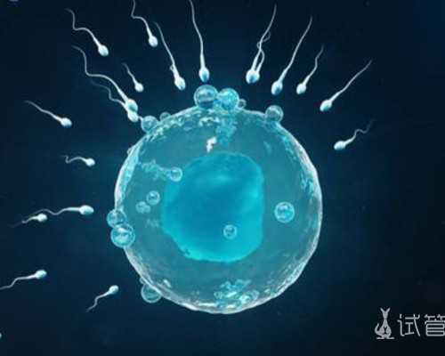 甲胎蛋白正常值代孕妇