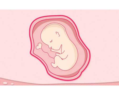 导致女性宫外孕发生的因素