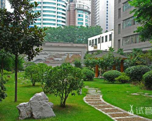 2026内蒙古供卵试管价格明细参考附内蒙古各大医院卵源等待时间