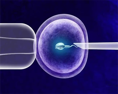 囊胚移植后的第二天没有什么感觉正常吗？