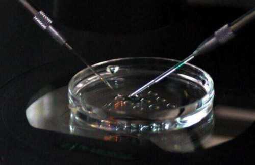 代孕中心哪间权威：代孕七周做B超无胎心，可能