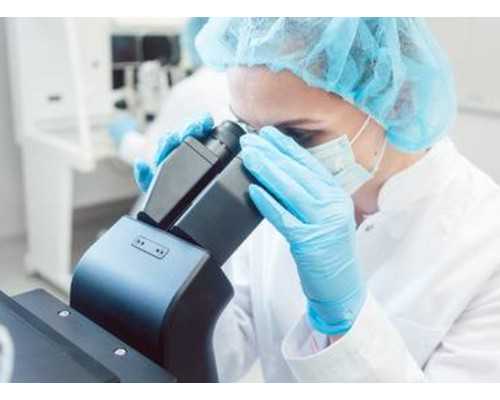 湖北供卵试管花费,武汉私立供卵中心