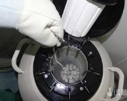 深圳代孕公司_深圳代孕可以选性别吗_孕妇吸入过量尾气对胎儿有哪些伤害