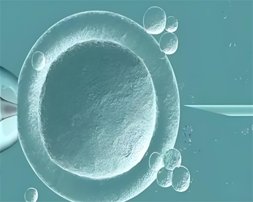 试管婴儿中心_深圳代怀孕助孕哪里好_代孕一族如