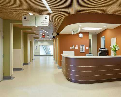 自然同居代怀孕价格_怀孕不吐是人绒毛促性腺激