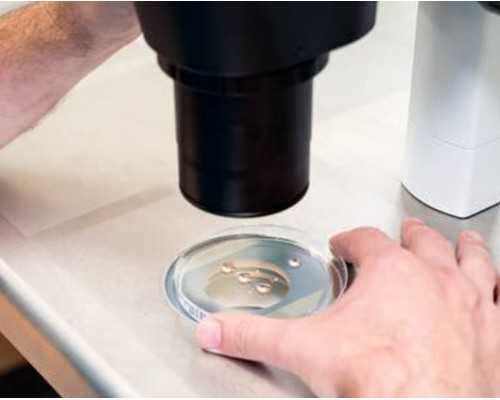 深圳代生孩子价格-深圳试管婴儿费用-孕妇用冷水洗澡会怎样