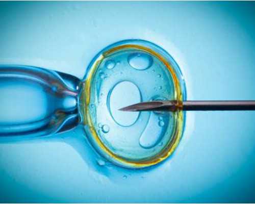 深圳供卵试管助孕中心,深圳哪家做代生好