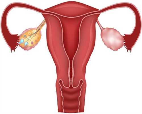 单身女性能做试管婴儿的国家，人工授精能否选择性别