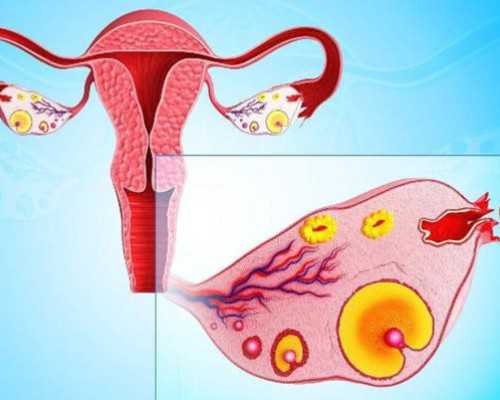 深圳代怀孕需要什么条件~中国代怀孕多少钱202