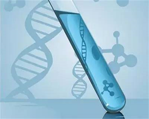 广州供卵试管公司哪家好,广州助孕机构哪家供卵好