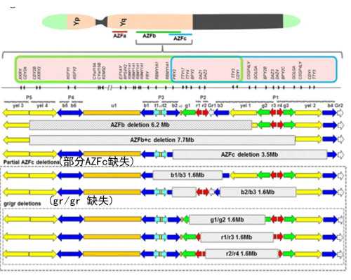 广东靓家居不忘初心