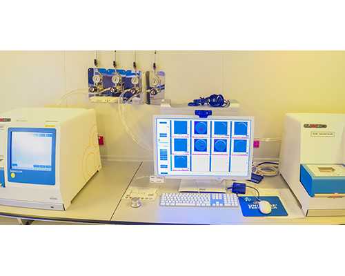 深圳找单身女人代孕_深圳合法代孕_深圳代孕和试管婴儿区别
