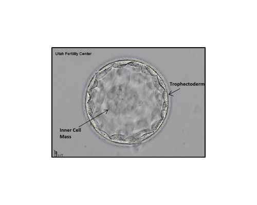 深圳代孕行业怎么样-深圳代孕的成功概率多少【见证幸“孕”时刻，享受天伦