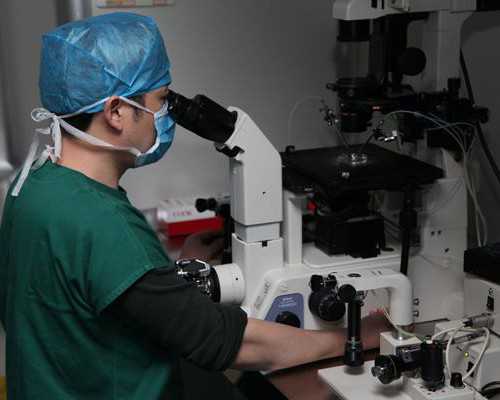 易栓症三项检查结果正常值