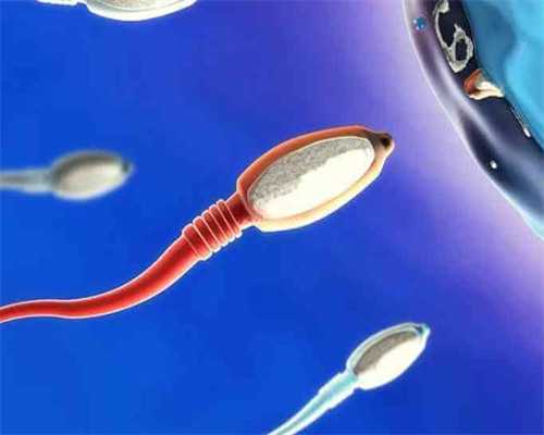 深圳代孕找一个代孕得多少钱-备孕期间可以吃苦