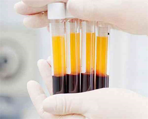 地下供卵试管市场调查,泊头公立医院做供卵大概多少钱？