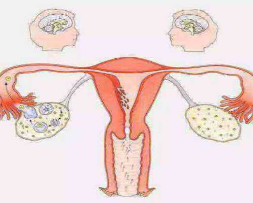 上海高龄借卵生子之痛，输卵管狭窄做供卵试管成功率