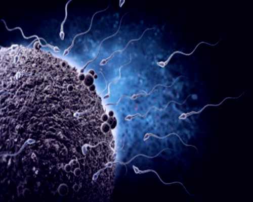 代孕哪家好-代孕靠谱吗-深圳代生