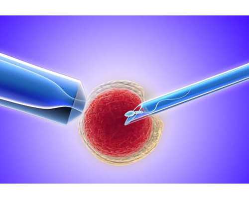 深圳代孕站长-深圳在代生要多少钱【不孕相见恨晚,深圳助孕名不虚传】
