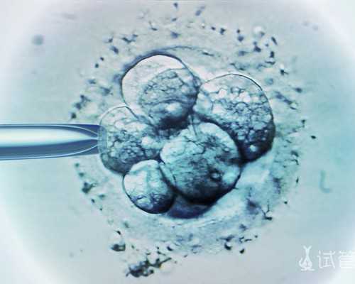 广州六院做供卵试管婴儿费用多少?五万够不够?