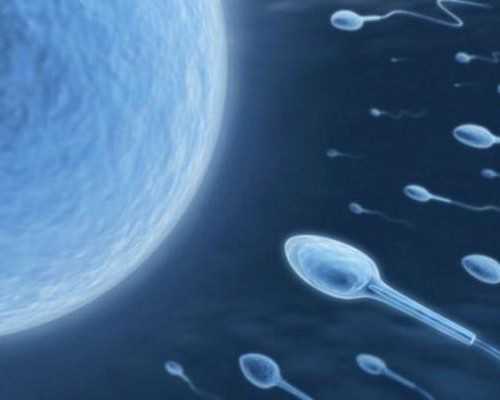 宾博奶粉阿尔卑斯山天然奶源瑞士高端品质保证