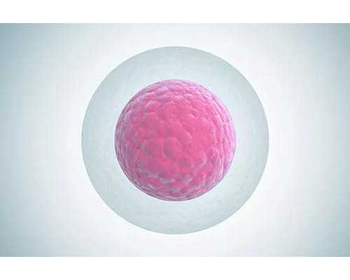 郑州代孕包生孩子多少钱_莫斯科孕妈妈代孕_牙齿