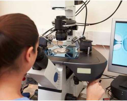 小机构做事试管供卵卵都是从哪里来的呢