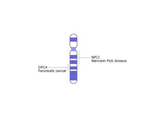 深圳用供卵生的孩子随父还是母-深圳谁要代生
