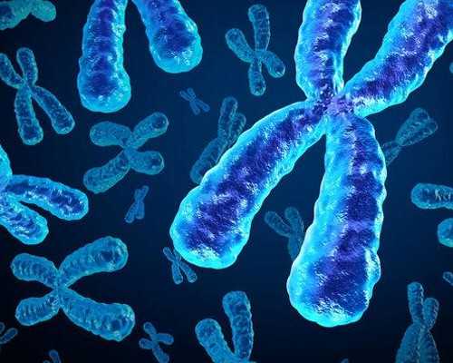 深圳专业代孕哪里有，37岁高龄想生二胎，在深圳哪里能做三代试管婴儿？