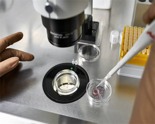 深圳代孕价格-深圳真实代孕经历-子宫大出血后怎么保养