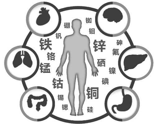 深圳代怀男宝宝_宝宝耳鼻中进了异物该怎么办?