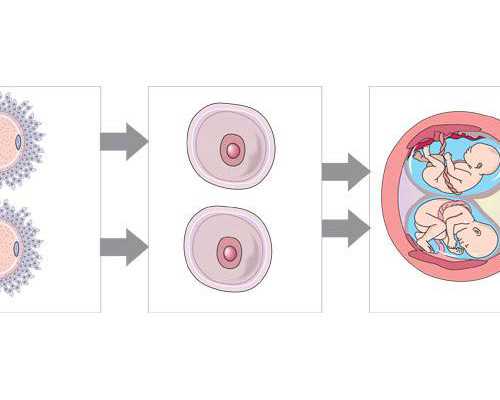 深圳最好的代孕-深圳想做代孕去哪里好【圆您的梦，早生贵子】