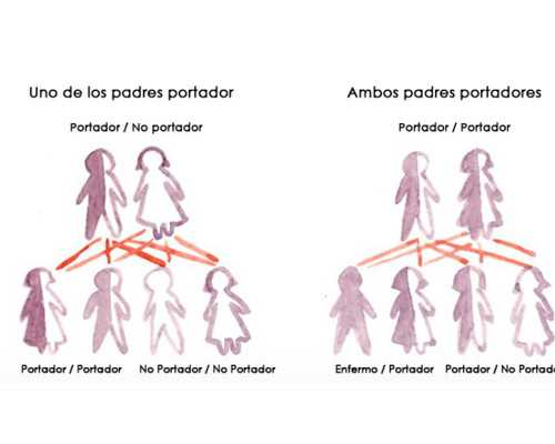 深圳代孕费用-深圳有人通过代孕生孩子吗-深圳找代孕电话