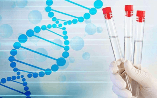 深圳乌克兰代孕成功率高吗_深圳广东代妈群捐卵