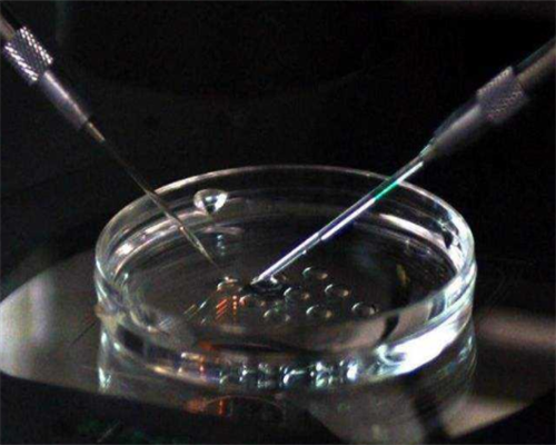 深圳哪里可以做试管_深圳最新代孕成功率【选择深圳代孕，圆梦家庭】