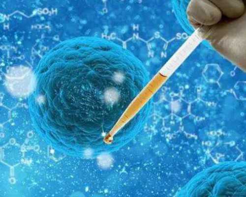 找供卵试管母,北京正规的供卵中心在哪?306医院有赠卵试管吗?