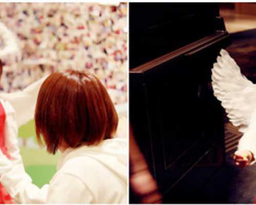 天津试管借卵公司,在深圳，泰国试管婴儿公司怎么找?看这里