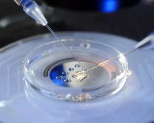 东莞爱为试管代孕，东莞索菲特御景湾酒店