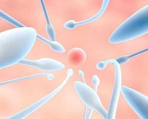 42岁试管一次成功怀上双胞胎经验分享,做好这些真不难