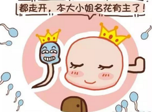 深圳借腹生子_深圳代孕生子价格_深圳弱精可以代孕吗