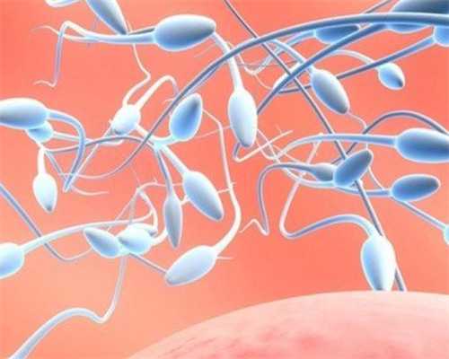 广州做代孕的医院-广州找个女人代孕要多少钱-备孕可以吃圣子皇吗