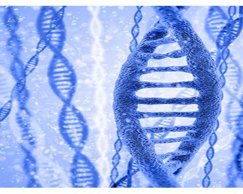 女性出现输卵管不通的原因是什么